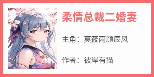 柔情总裁二婚妻