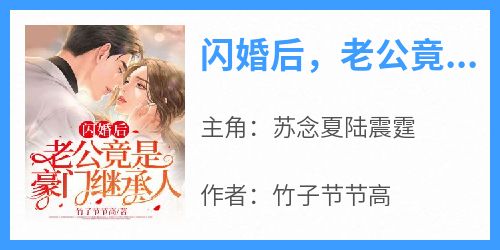 闪婚后，老公竟是豪门继承人