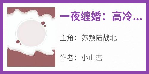 一夜缠婚：高冷老公是我现任上司