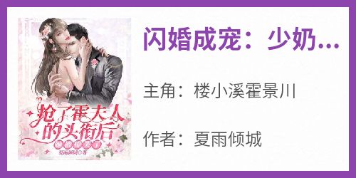 闪婚成宠：少奶奶今天回家了吗？