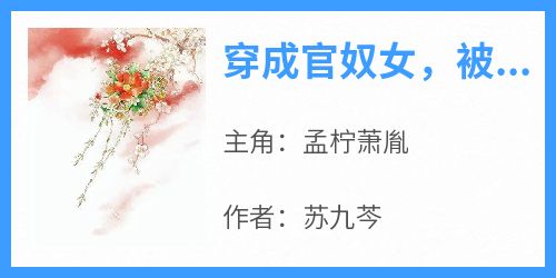 穿成官奴女，被侯王宠疯了