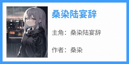 桑染陆宴辞