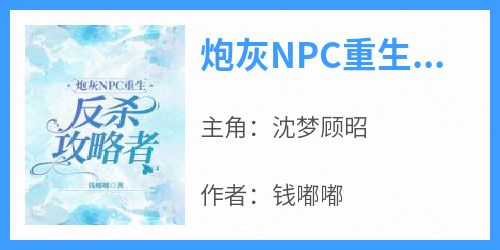 炮灰NPC重生反杀攻略者