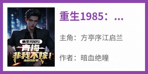 重生1985：青梅非我不嫁！