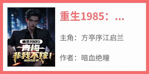 重生1985：青梅非我不嫁！