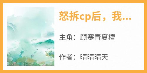 怒拆cp后，我被送上审判台