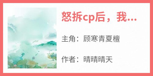 怒拆cp后，我被送上审判台