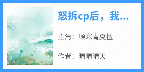 怒拆cp后，我被送上审判台