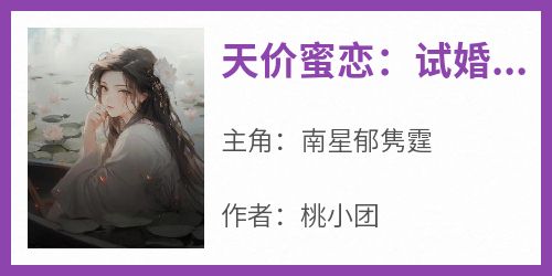 天价蜜恋：试婚老公宠上瘾