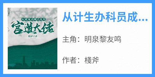 从计生办科员成为官道大佬