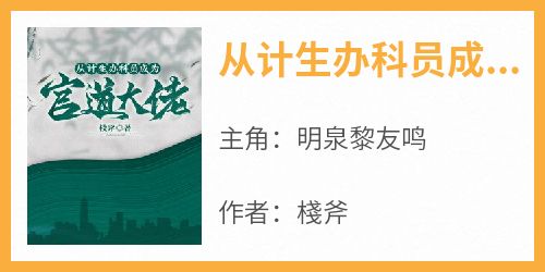 从计生办科员成为官道大佬