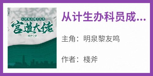 从计生办科员成为官道大佬