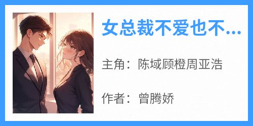 女总裁不爱也不放手