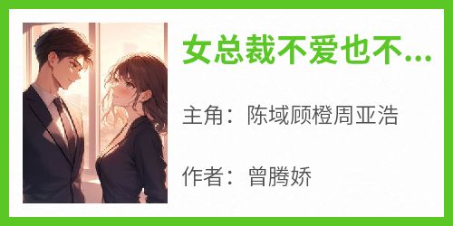 女总裁不爱也不放手