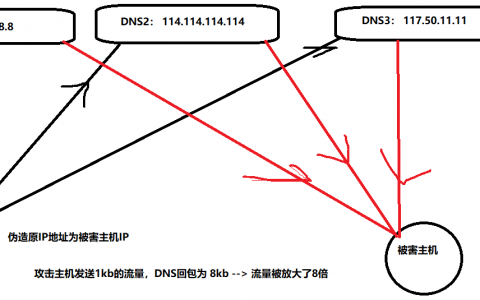 Python DNS查询放大攻击实现原理解析